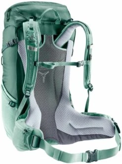 Deuter Futura -Da Segel Geschaft 3215141 24sl forestjade ruecken 22 720x600