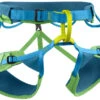 Edelrid Jay III 1 Edelrid Jay III -Da Segel Geschaft 3580251 greenpepper 20 720x600